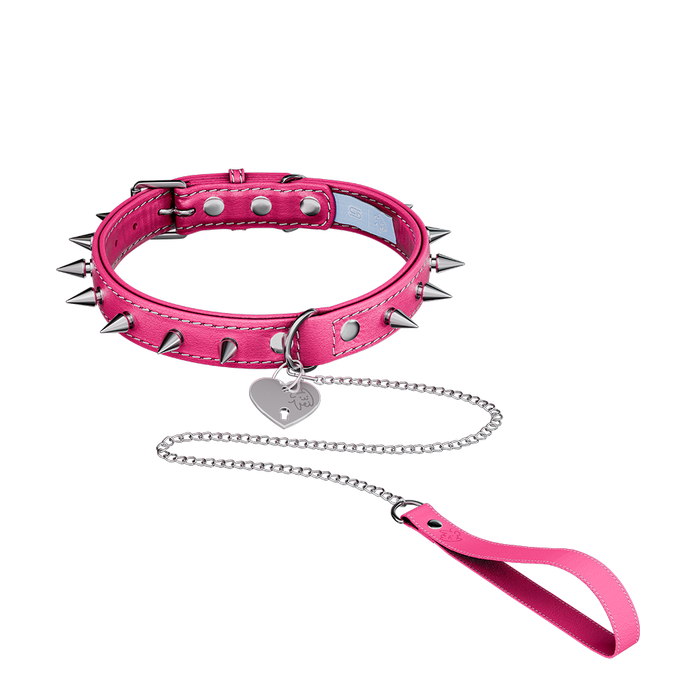 Vei: Snax Spiked Dog Collar + Leash - Gamer Supps