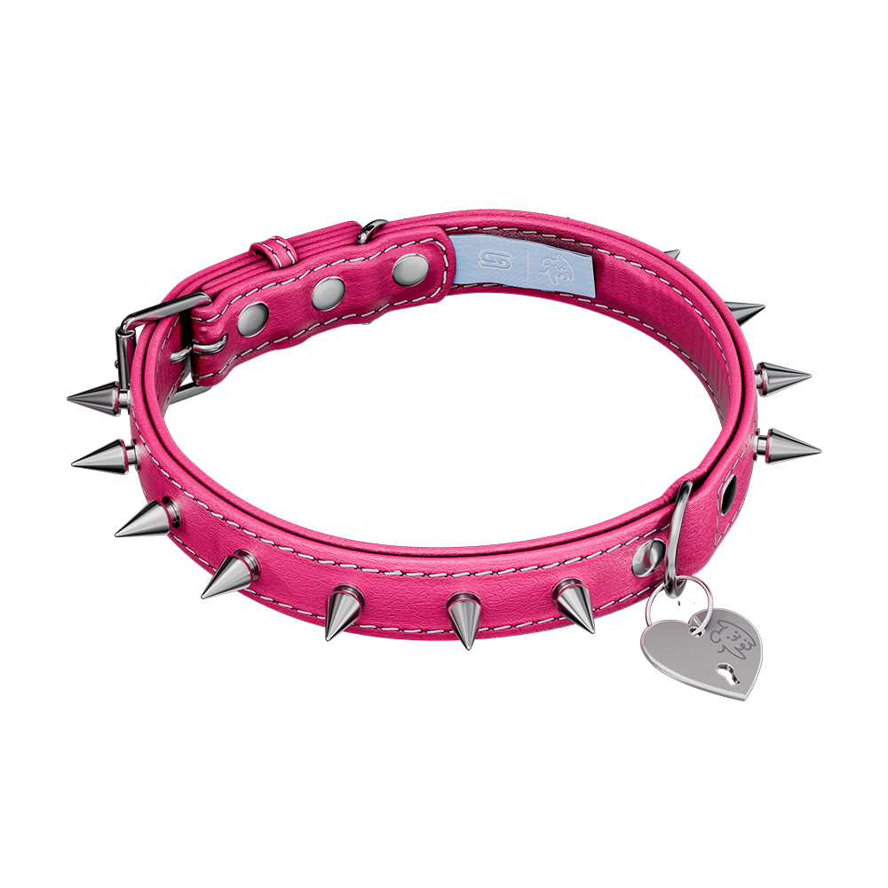 Vei: Snax Spiked Dog Collar + Leash - Gamer Supps
