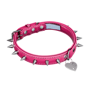 Vei: Snax Spiked Dog Collar + Leash - Gamer Supps