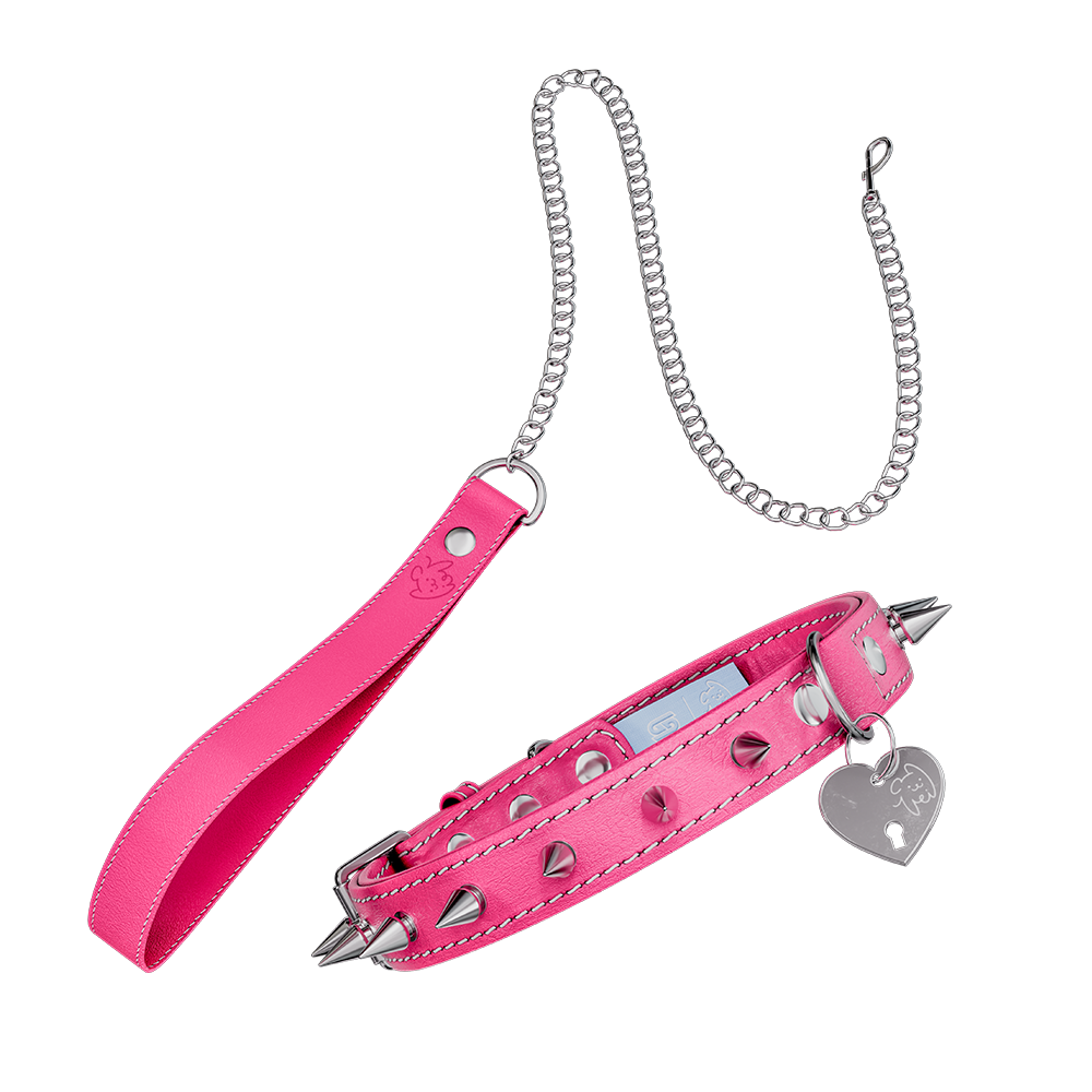 Vei: Snax Spiked Dog Collar + Leash - Gamer Supps