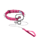 Vei: Snax Spiked Dog Collar + Leash (Coming Soon!)