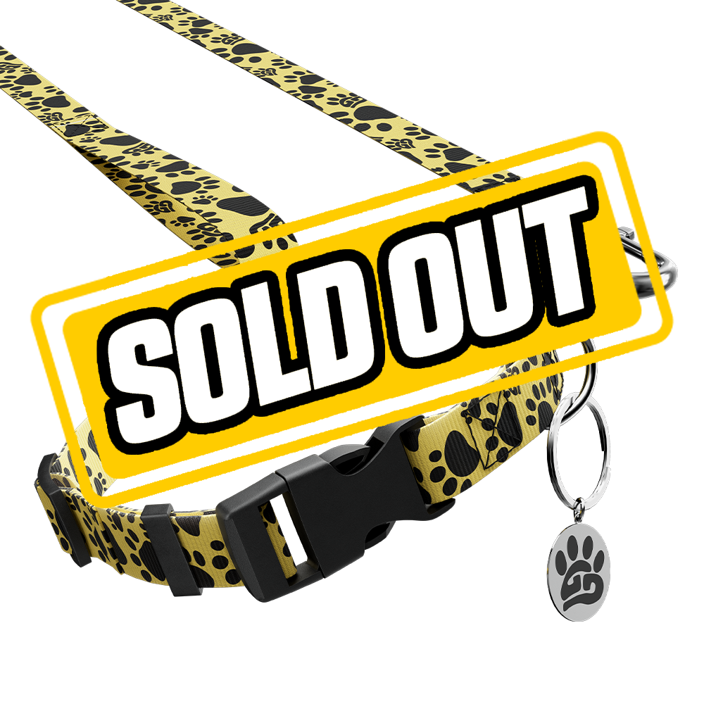 WOOF: Dog Leash & Collar - Gamer Supps