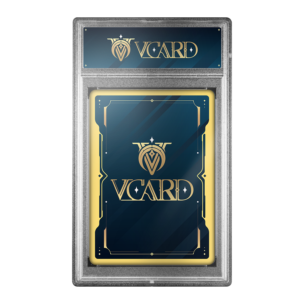 Vcard Promo Slab - Gamer Supps